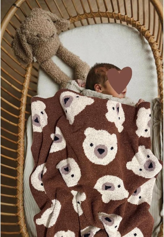 Teddy Bear Plush Baby Toddler Kids Large Blanket, Ultra Soft Cozy Fuzzy Fluffy Microfiber Feather Yarn, Great Nursery Decor Gender Neutral 40x40in (Brown)