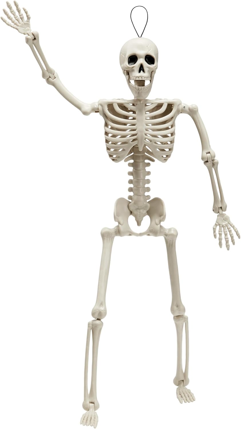 JOYIN Posable Skeleton Decorations