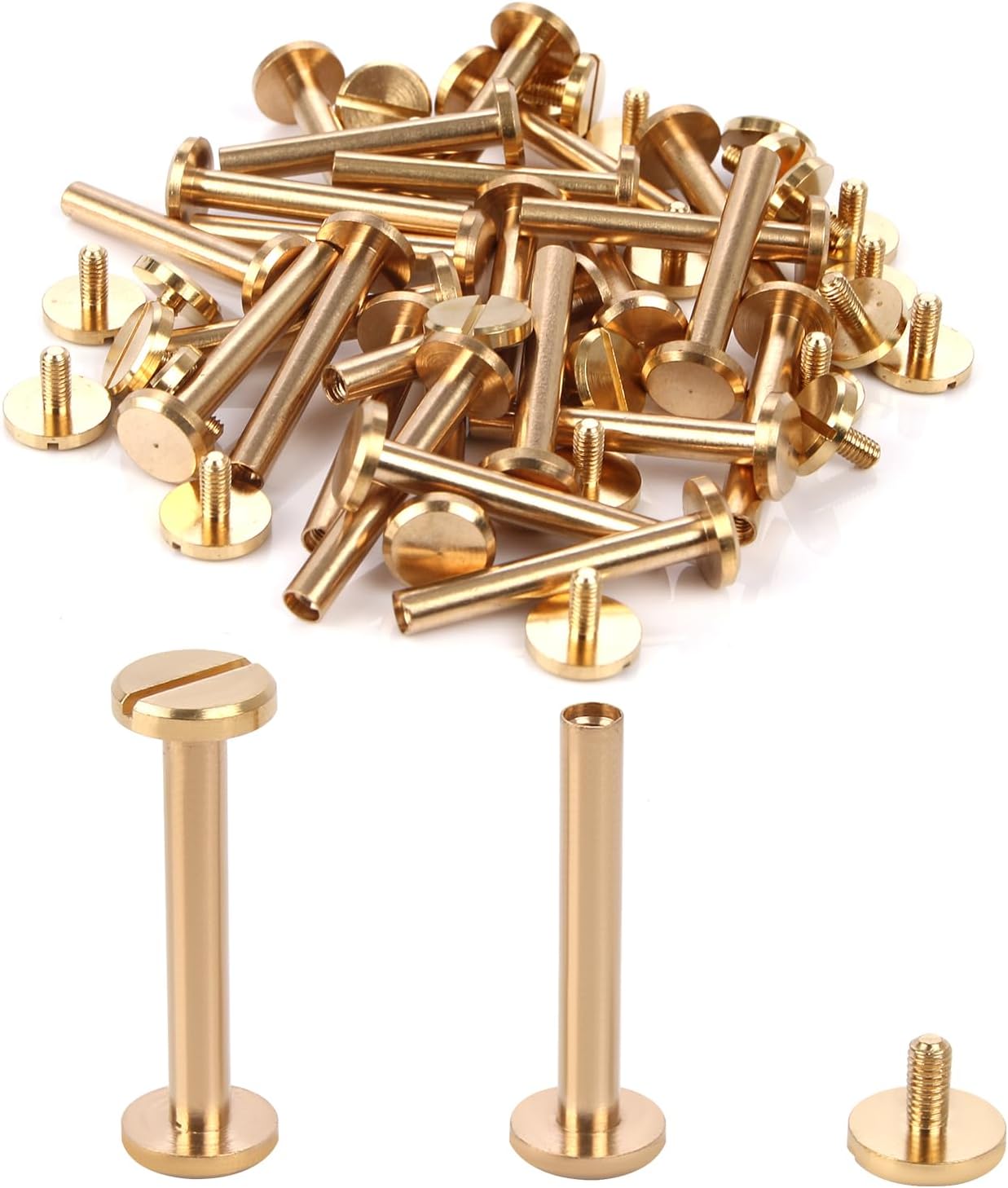 Chicago Binding Screws (Brass
