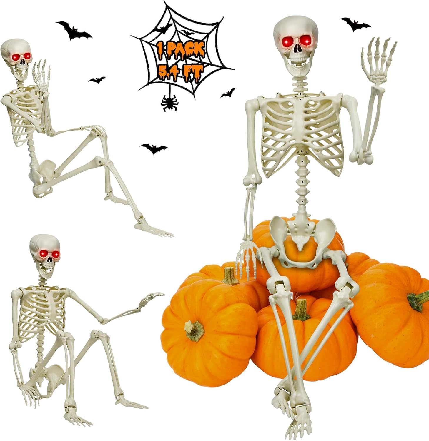 Life-Size Posable Skeletons