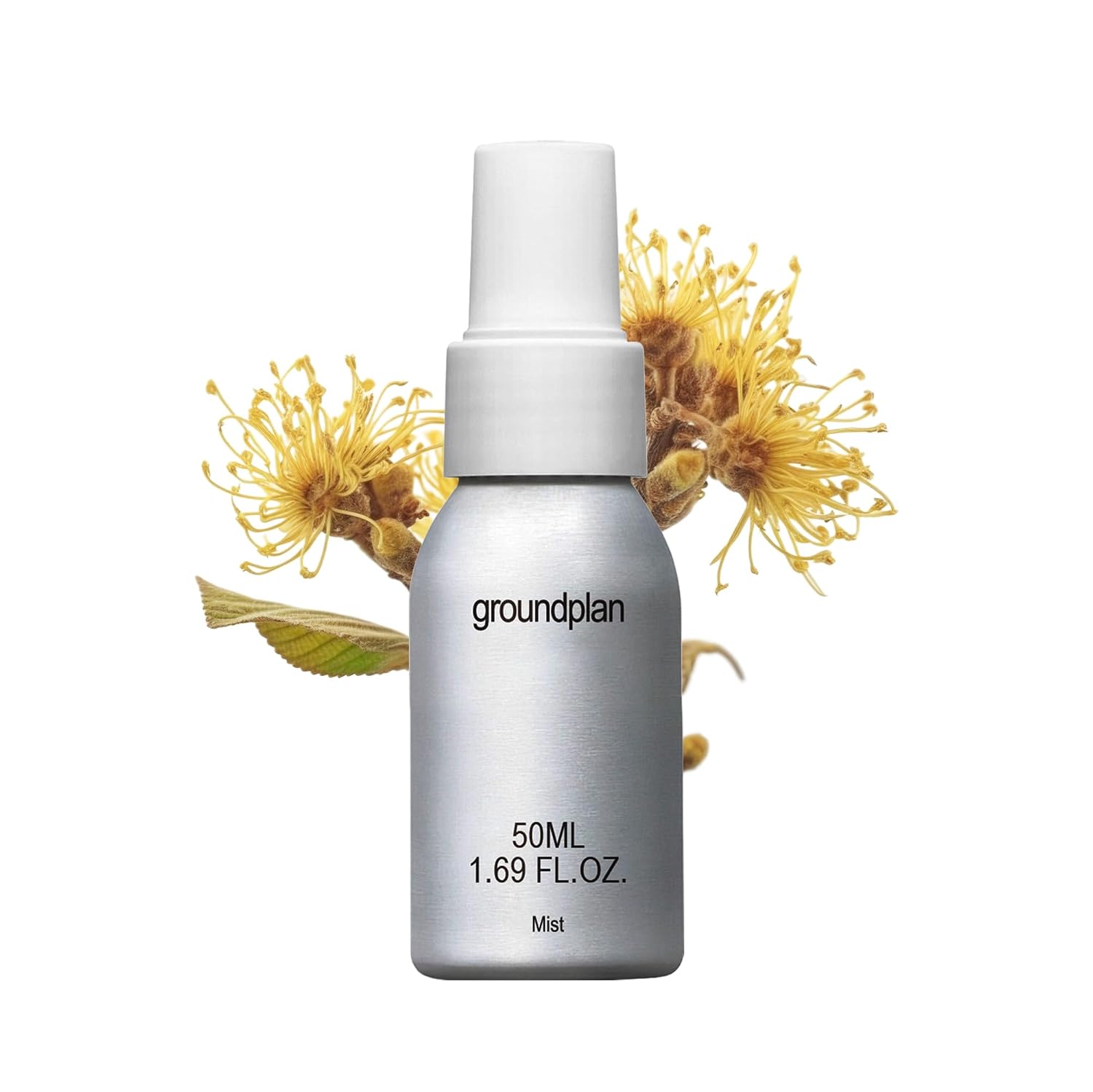 Groundplan Witch Rescue Mists