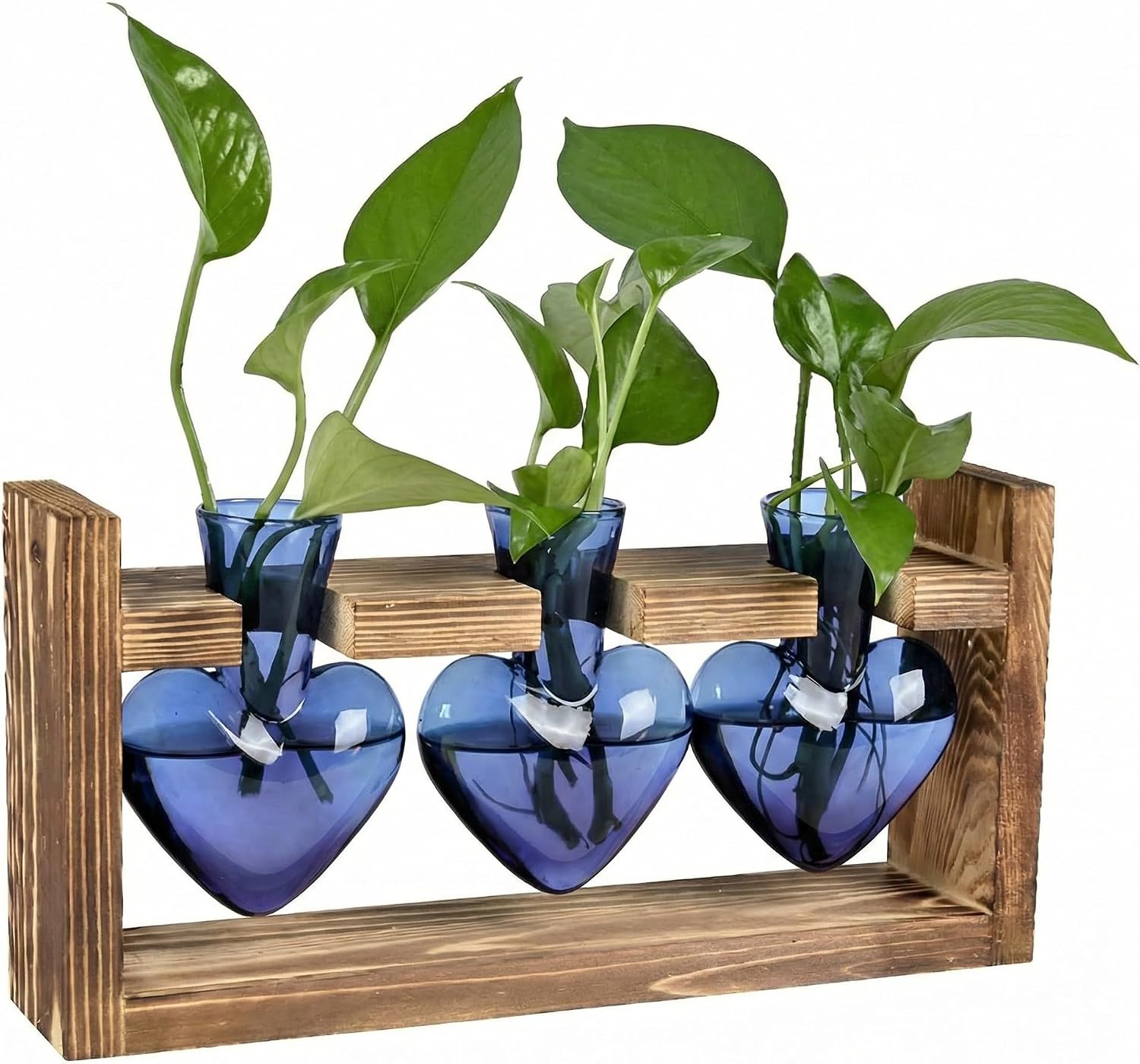 Plant Propagation Blue Sets