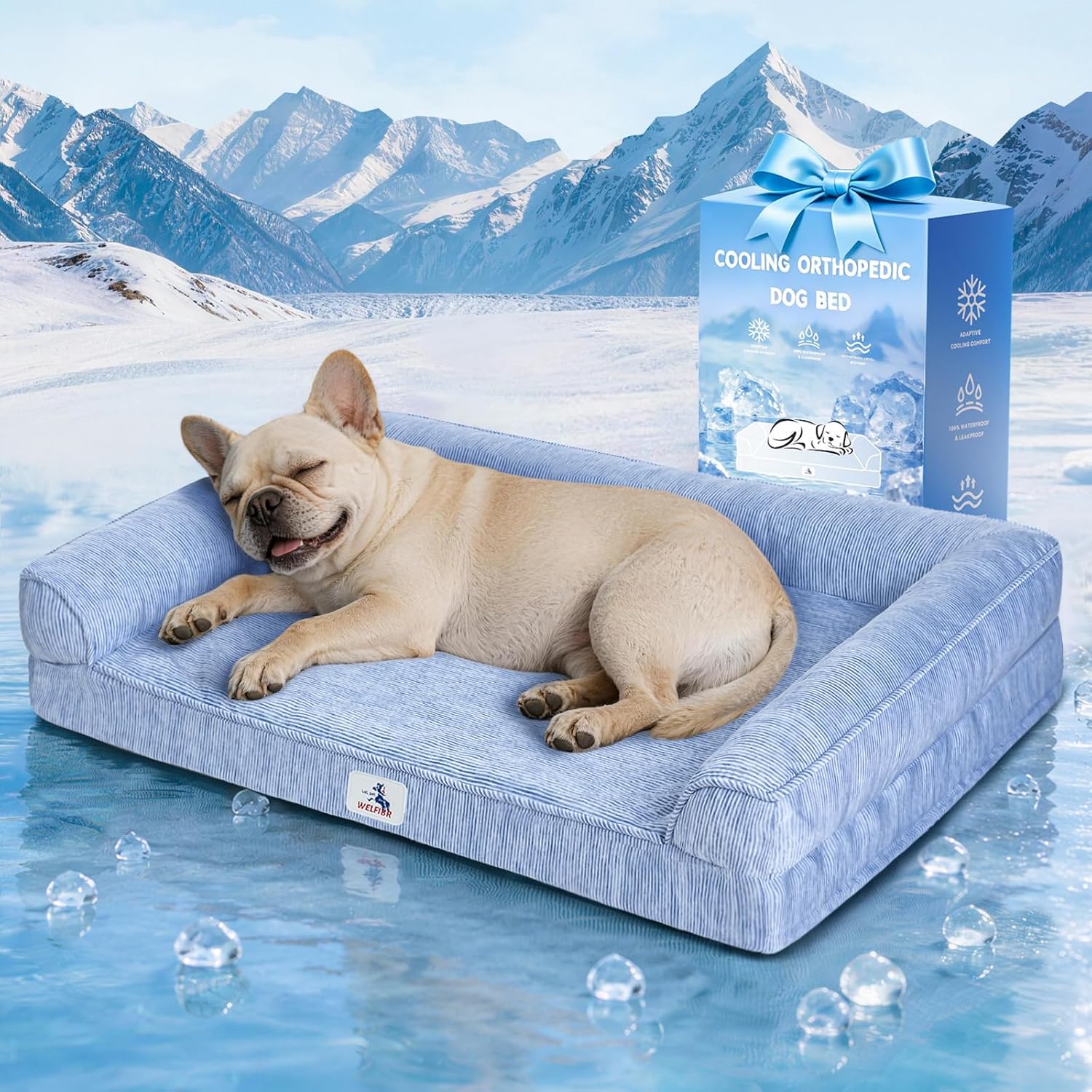Cooling Orthopedic Dog Beds