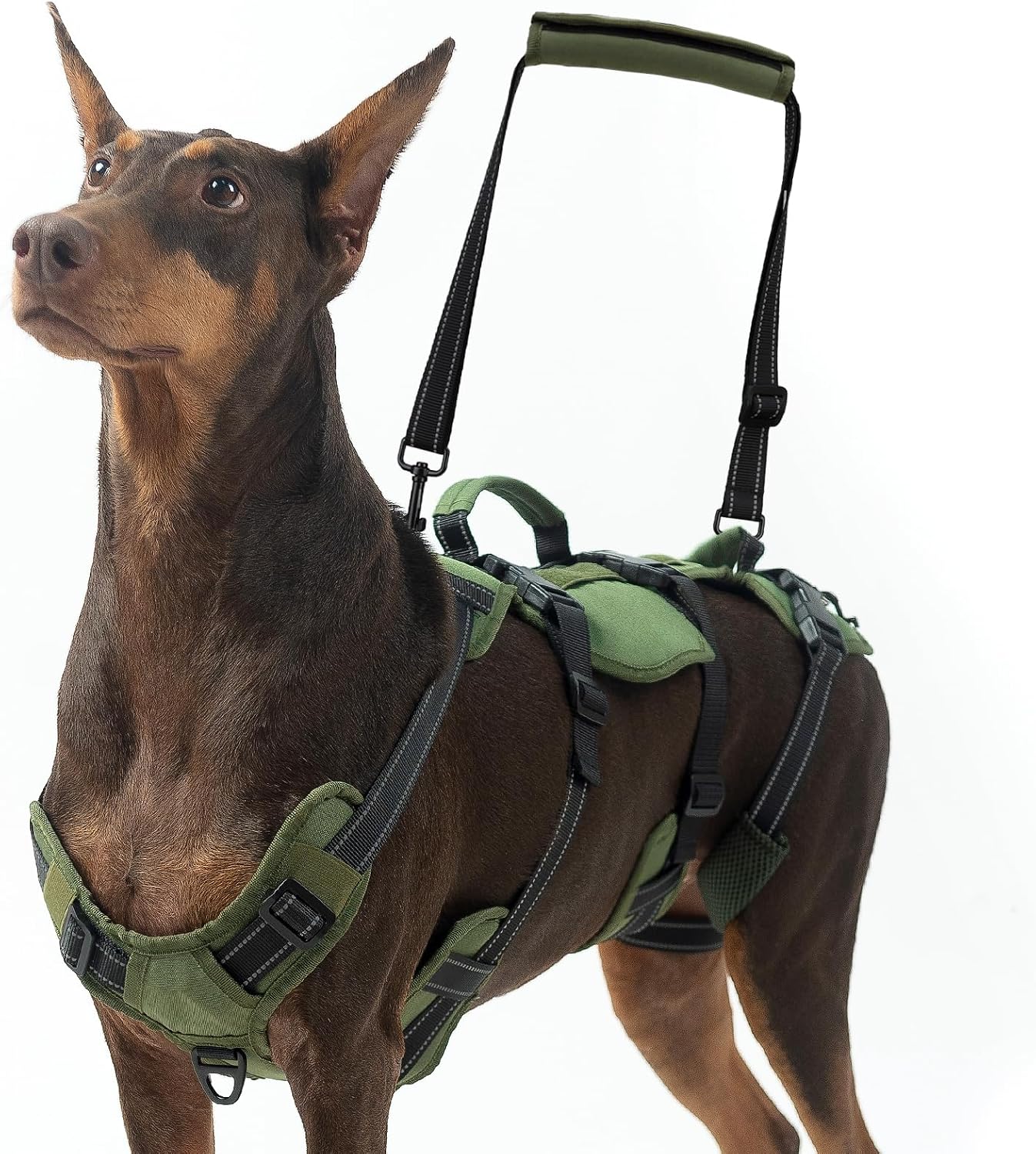 BINGPET Dog Lift Harnesses