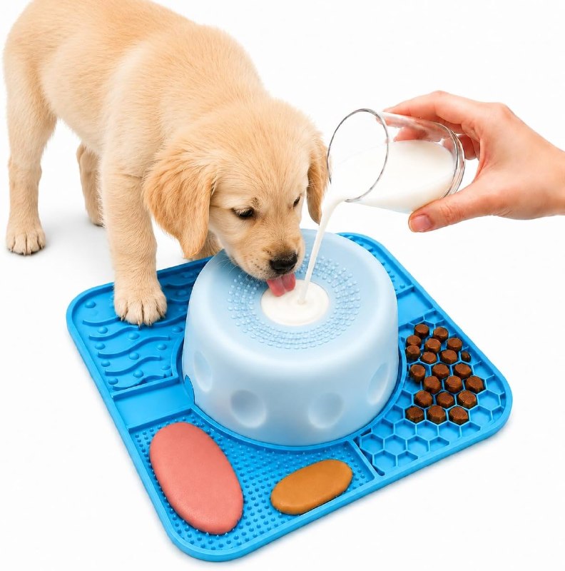 2-in-1 Slow Feeder Dog Bowls