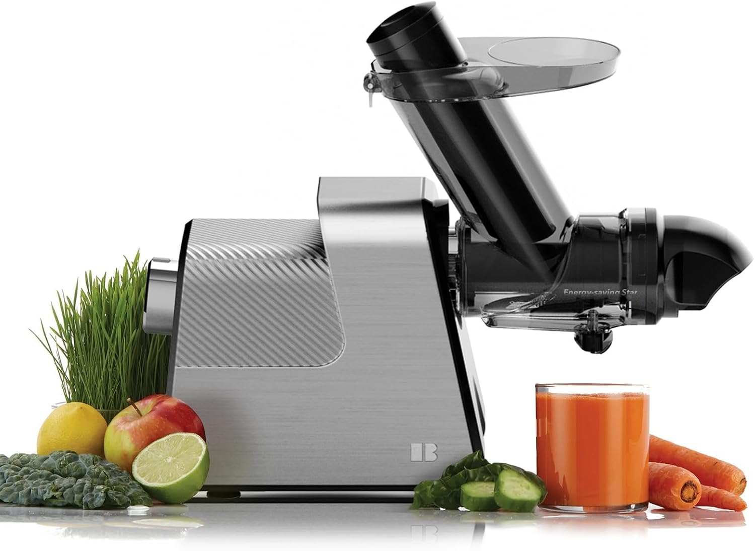 Anybear Cold Press Juicers