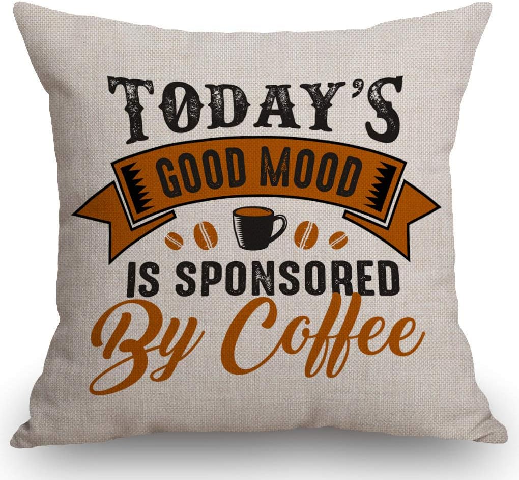 Funny Quote Pillow Covers